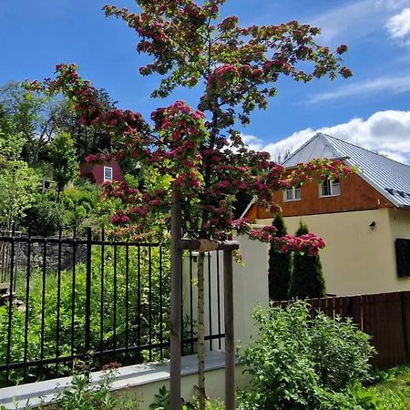 Siglisberg Villa Banská Štiavnica Dış mekan fotoğraf
