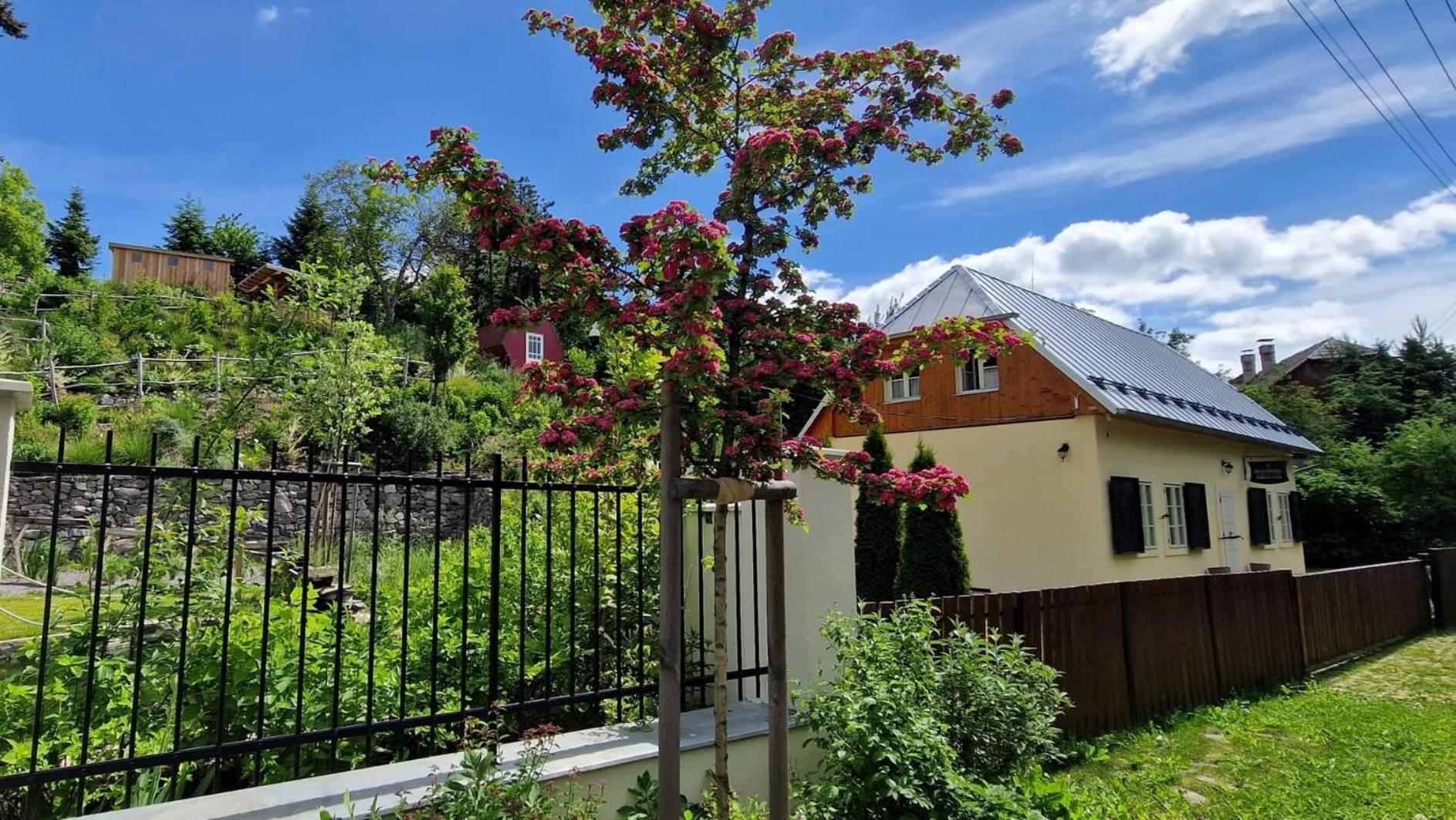 Siglisberg Villa Banská Štiavnica Dış mekan fotoğraf